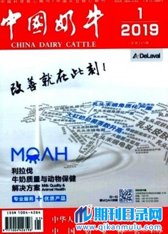 中国奶牛