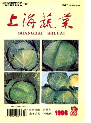 上海蔬菜