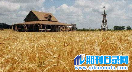 水稻商品化集中育供秧发展对策
