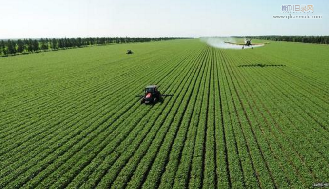 小麦种植病虫害防治技术
